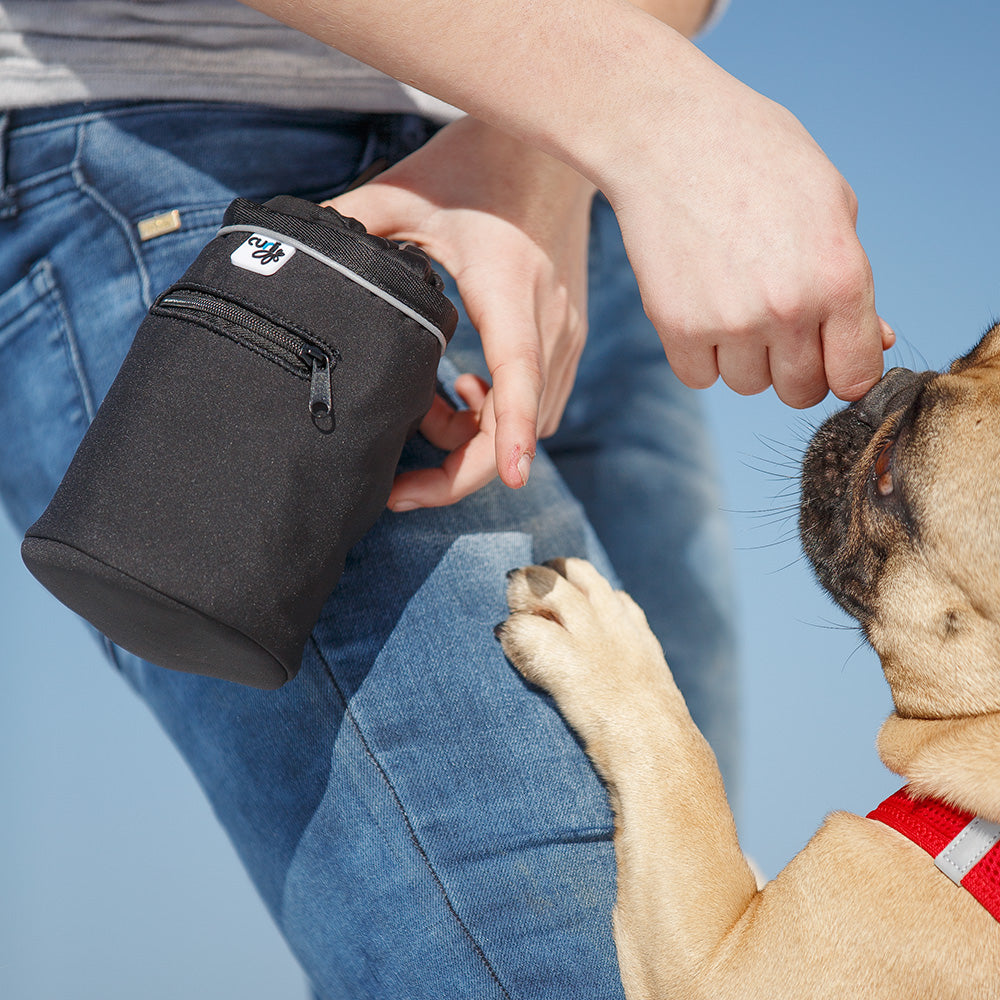 Curli Dog Treat Bag Original Black