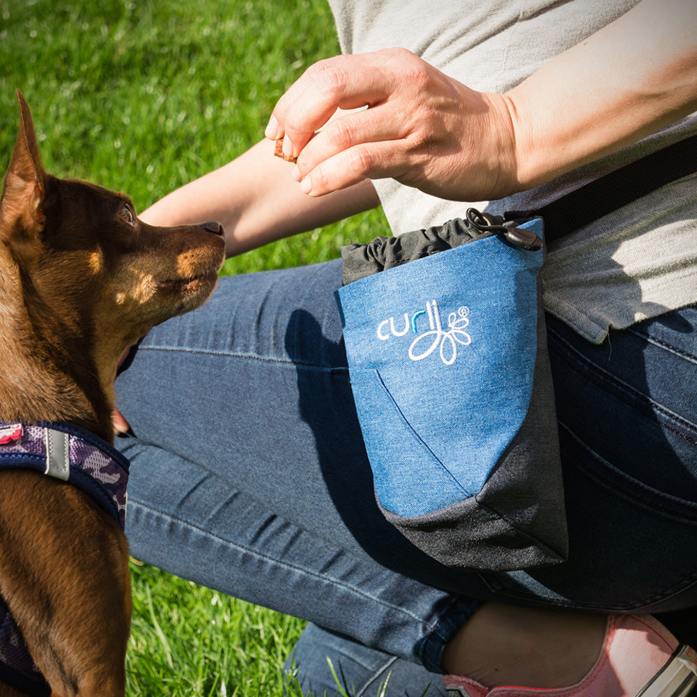 Curli Dog Treat Bag