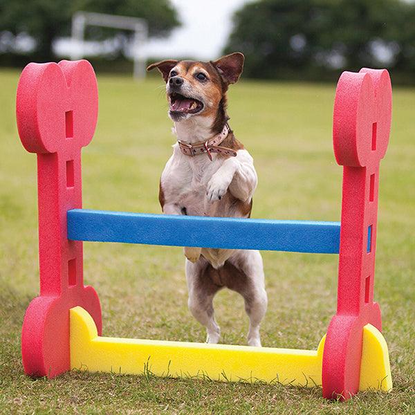 Rosewood Small Dog Hurdle
