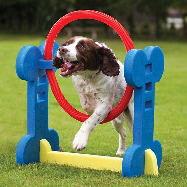 Rosewood Small Dog Hoop