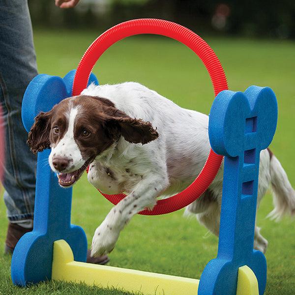 Rosewood Small Dog Hoop