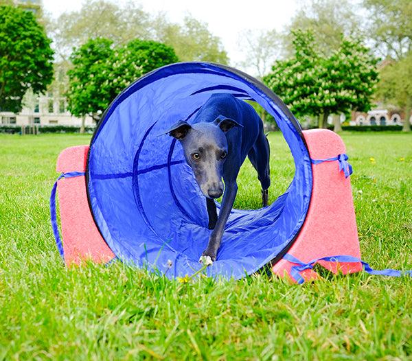 Rosewood Small Dog Tunnel
