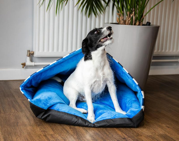 Rosewood Blue Happy Hideout Mattress