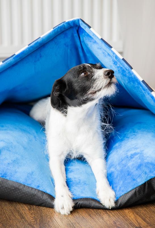 Rosewood Blue Happy Hideout Mattress