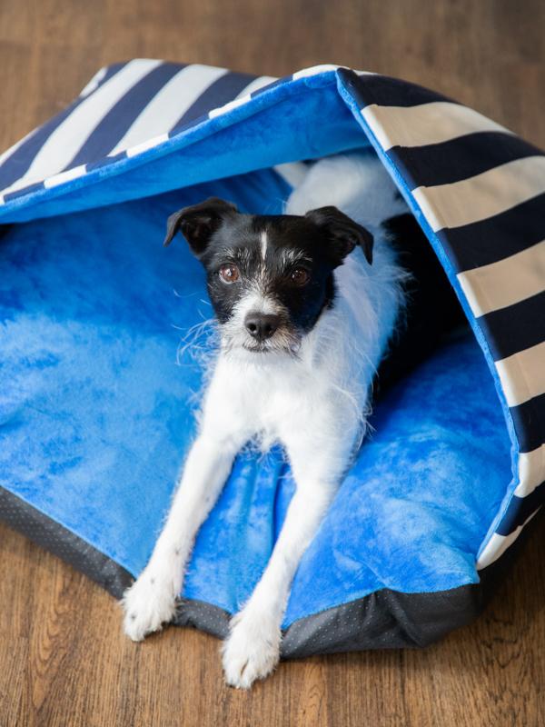 Rosewood Blue Happy Hideout Mattress