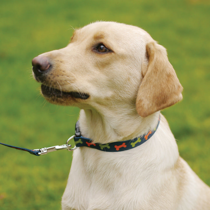Wag 'n' Walk Fashion Collars Bone