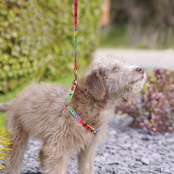 Rosewood Puppy Harness and Lead Set Paw