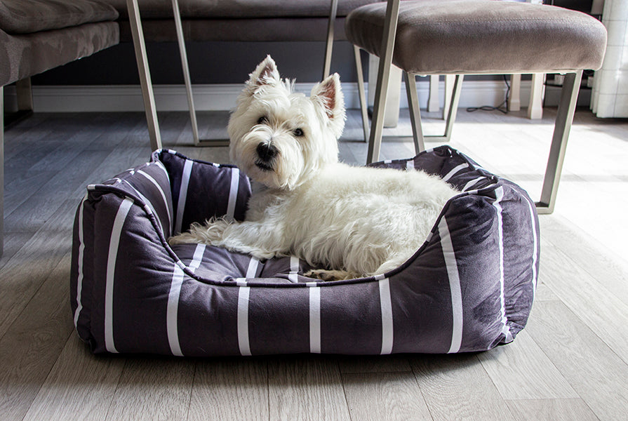 40 Winks Grey Velvet Stripes Square