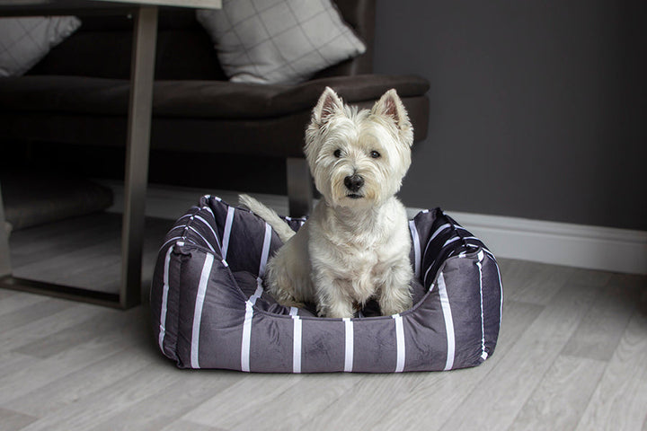 40 Winks Grey Velvet Stripes Square