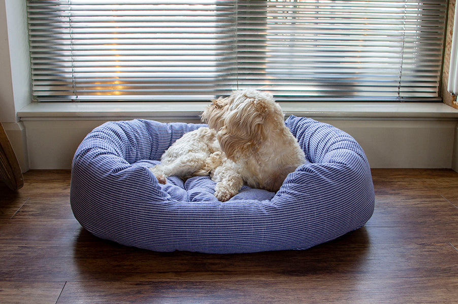 40 Winks Blue Sky Stripe Square