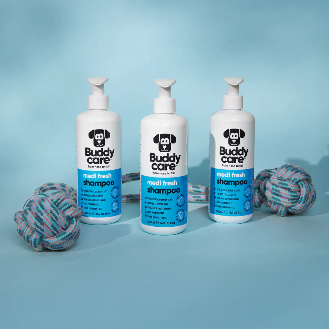 Buddycare Dog Medi Fresh Shampoo