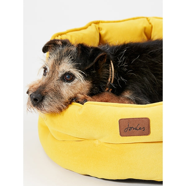 Joules Chesterfield Pet Bed Yellow