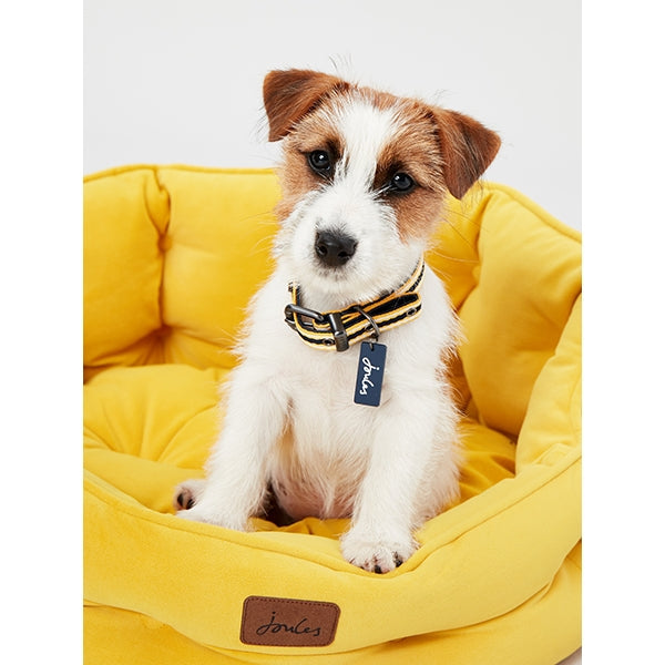 Joules Chesterfield Pet Bed Yellow