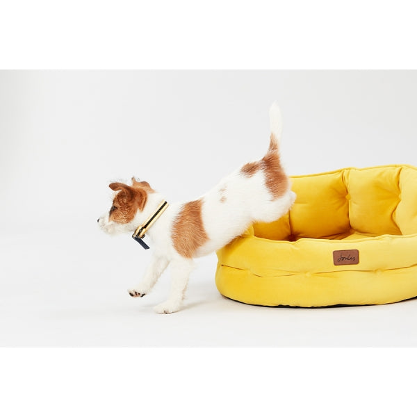 Joules Chesterfield Pet Bed Yellow