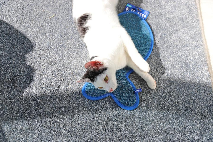 Rosewood Battersea Fish Scratcher