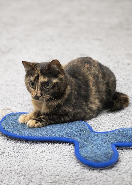 Rosewood Battersea Fish Scratcher
