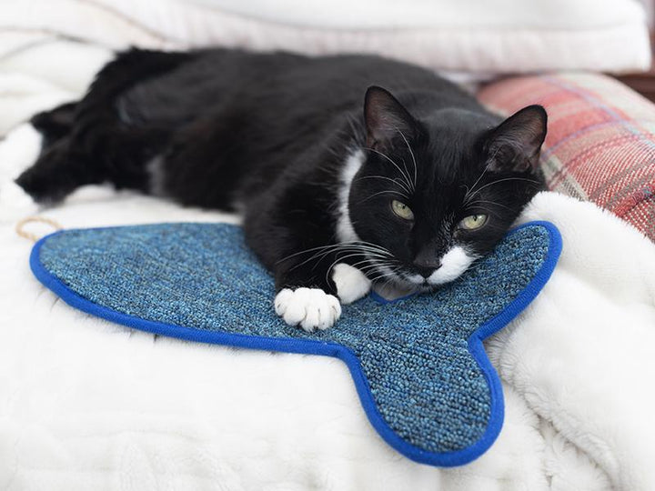 Rosewood Battersea Fish Scratcher