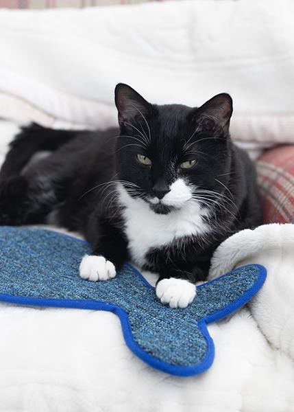 Rosewood Battersea Fish Scratcher