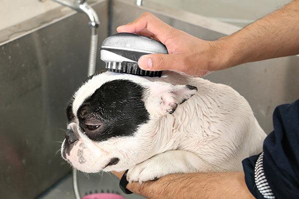 Rosewood 2 in 1 Bath & Groom Brush