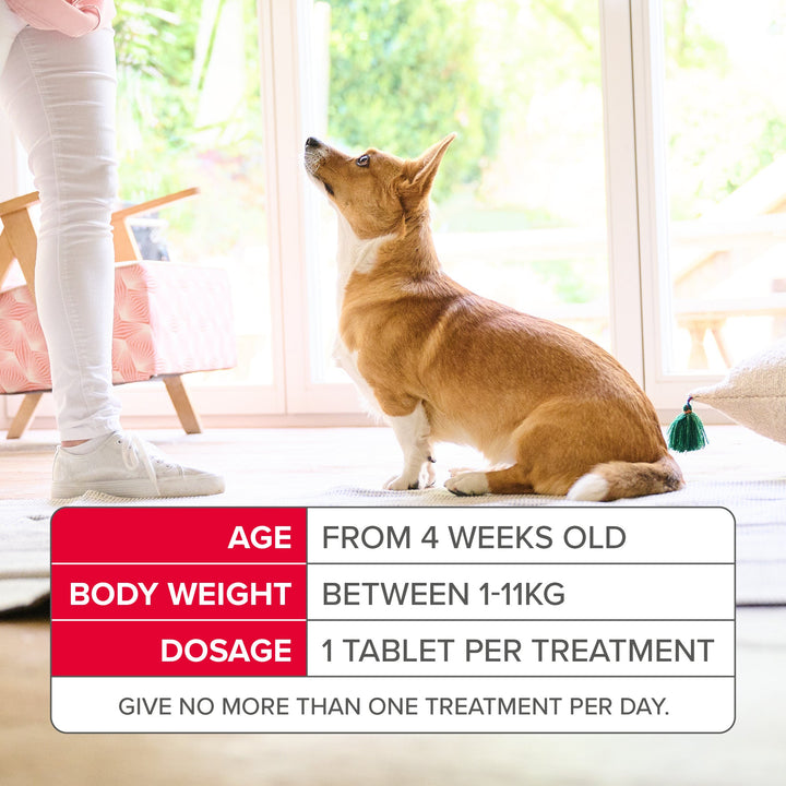 Beaphar Flea Tablets For Small Dogs 3 Tablets