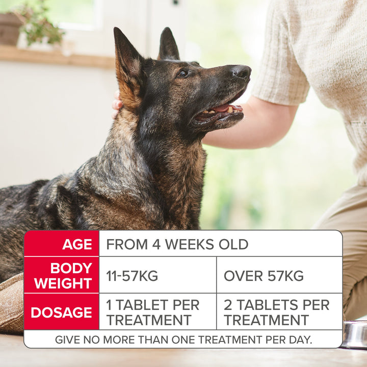 Beaphar Flea Tablets For Medium/Large Dogs 3 Tablets
