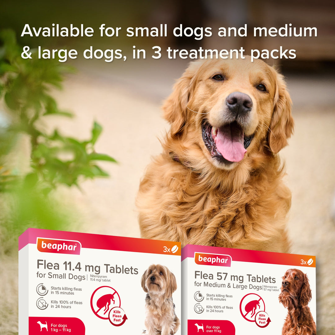 Beaphar Flea Tablets For Medium/Large Dogs 3 Tablets