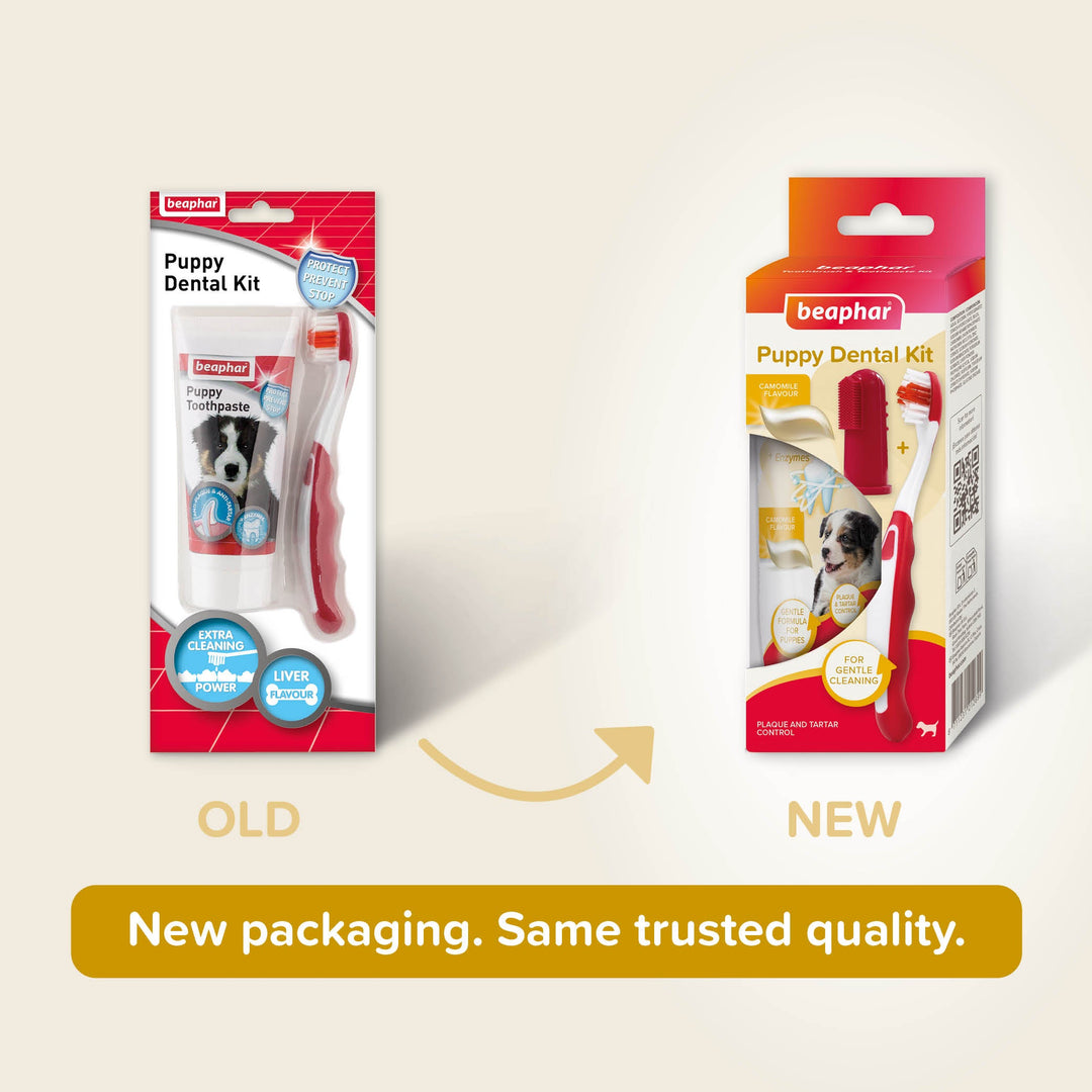 Beaphar Puppy Dental Kit 50g
