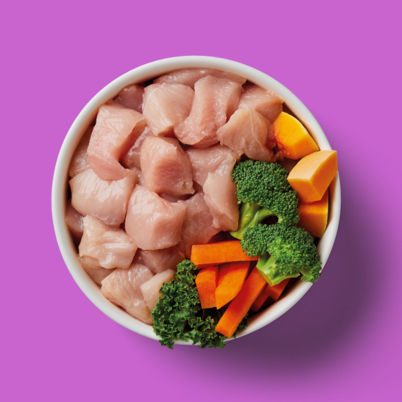 Nutriment Dog Adult Chicken Senior 500g