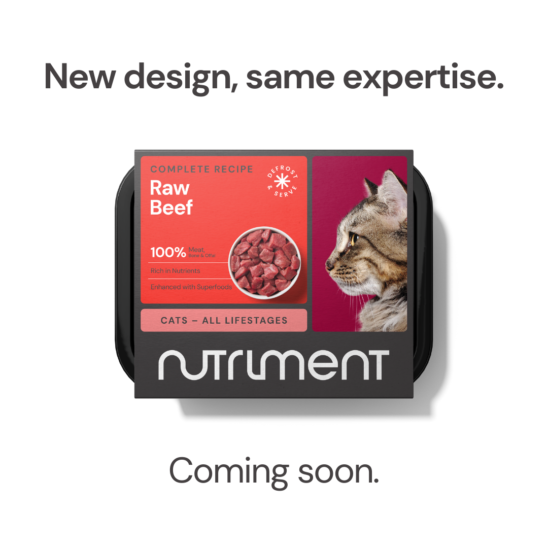 Nutriment Dinner for Cats Beef Cat Dinner 175g