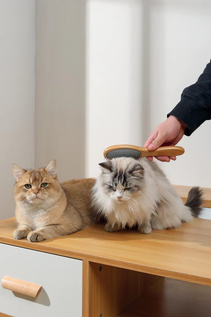 M-PETS Bamboo Ball Pin Brush