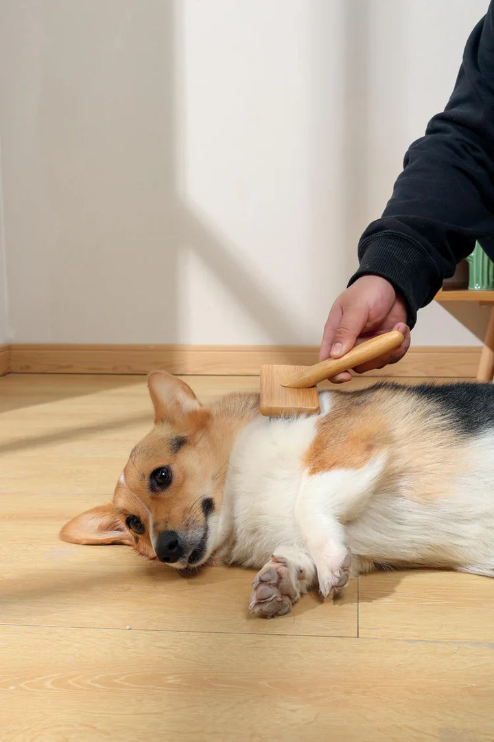 M-PETS Bamboo Slicker Brush