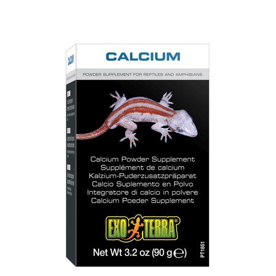 Exo Terra Calcium Powder, 90g