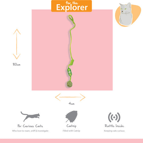Tabby Patch Pea Pod Cat Bungee