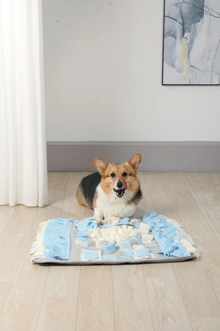 M-PETS Stratege Snuffle Mat For Dogs And Cats