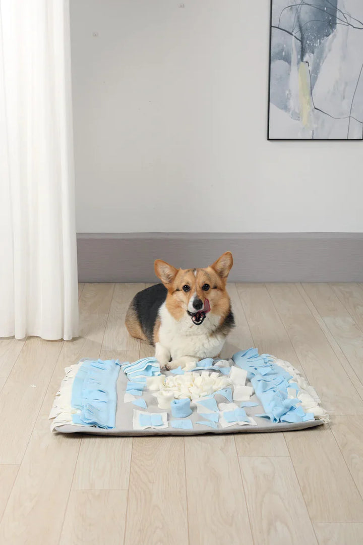M-PETS Stratege Snuffle Mat For Dogs And Cats