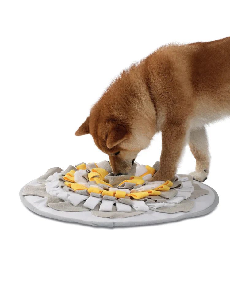 M-PETS Stratege Snuffle Mat For Dogs And Cats