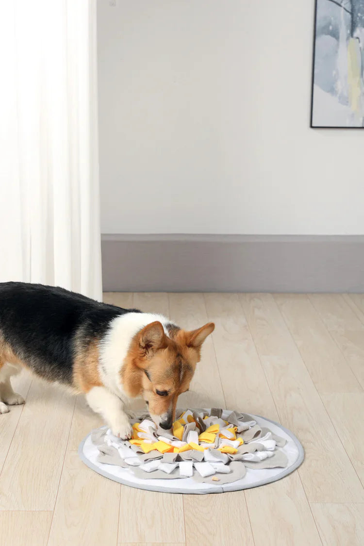 M-PETS Stratege Snuffle Mat For Dogs And Cats