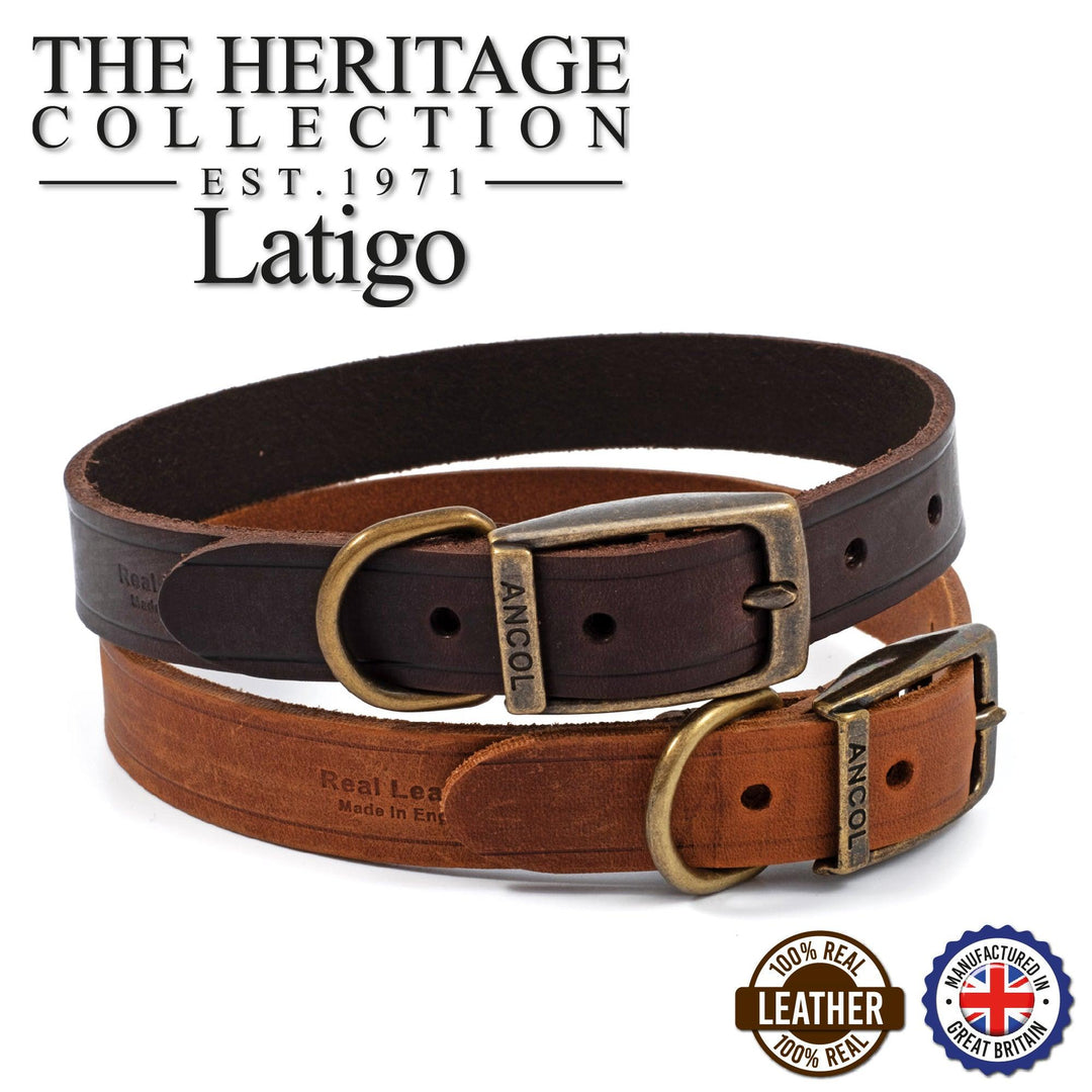 Ancol Latigo Leather Collar Havana 55-63cm Size 8