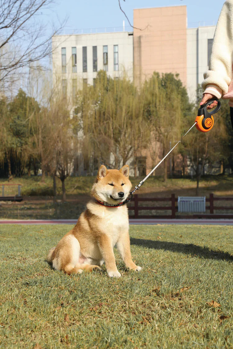 M-PETS Autobrake Retractable Smart Leash