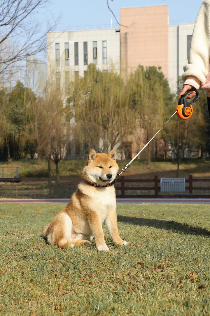 M-PETS Autobrake Retractable Smart Leash
