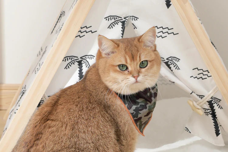 M-PETS Wild Jungle Bandana