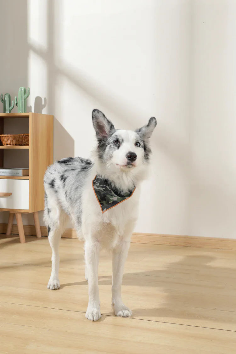 M-PETS Wild Jungle Bandana