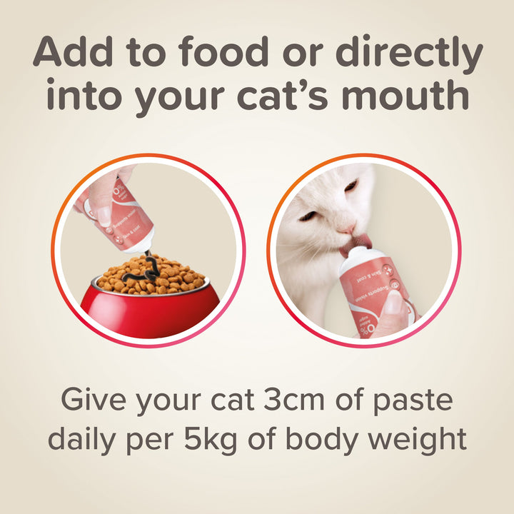 Beaphar Salmon Oil Paste For Cats 100G