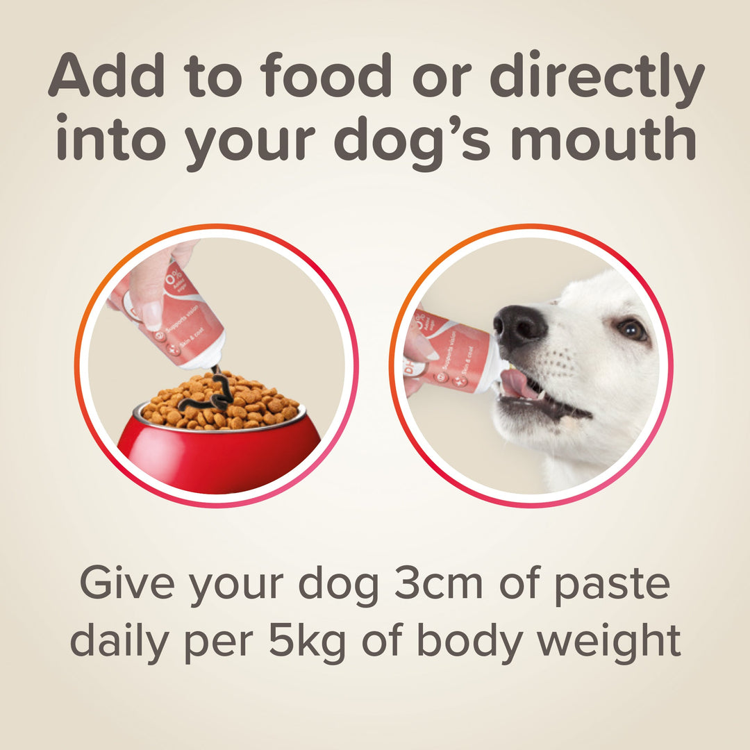 Beaphar Salmon Oil Paste For Dogs 100G