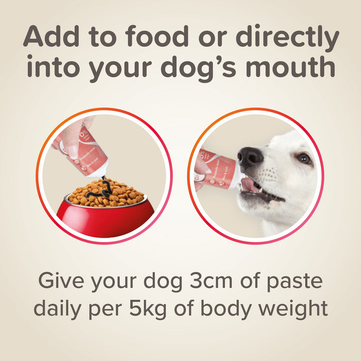 Beaphar Salmon Oil Paste For Dogs 100G