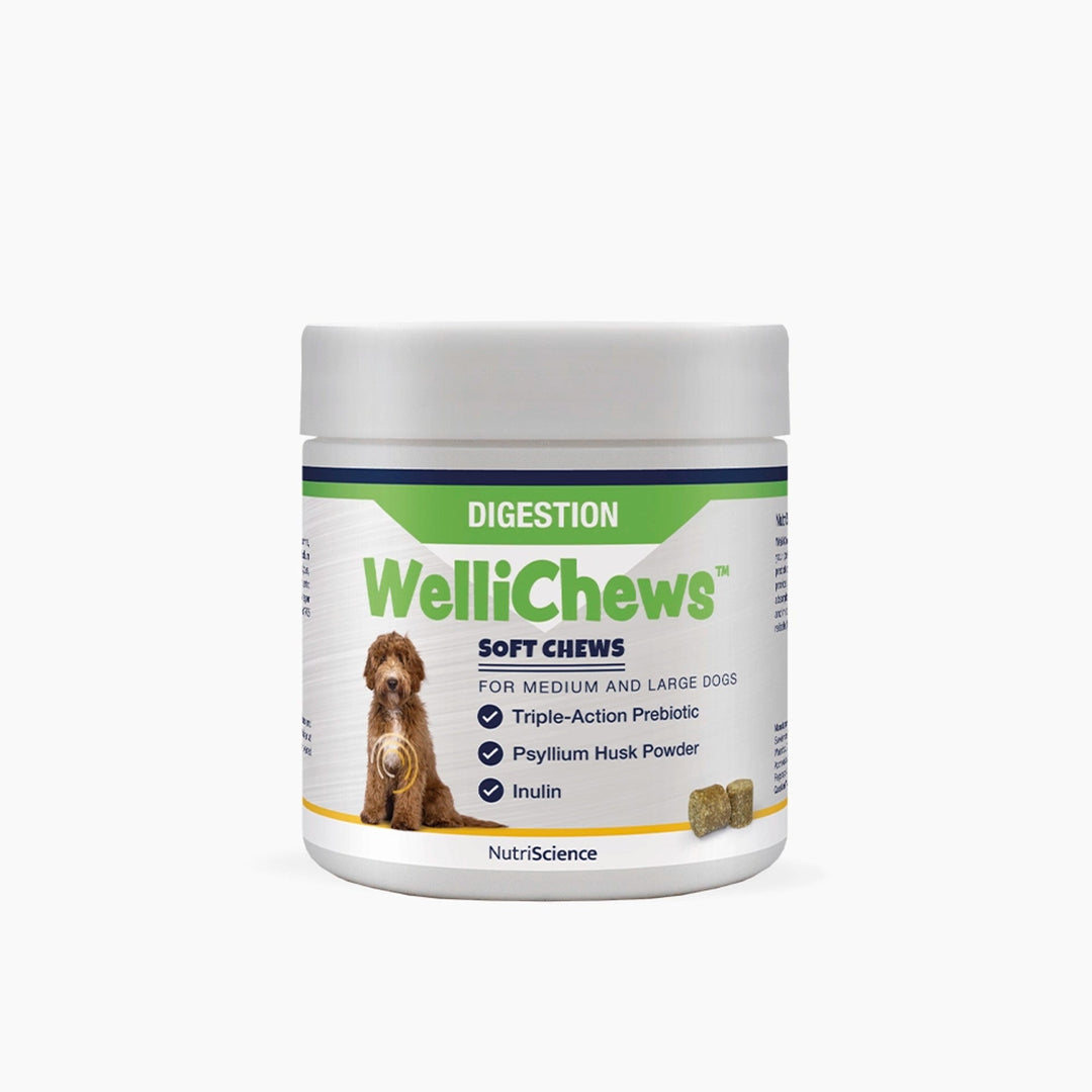 Wellichews Digestion Soft Chews