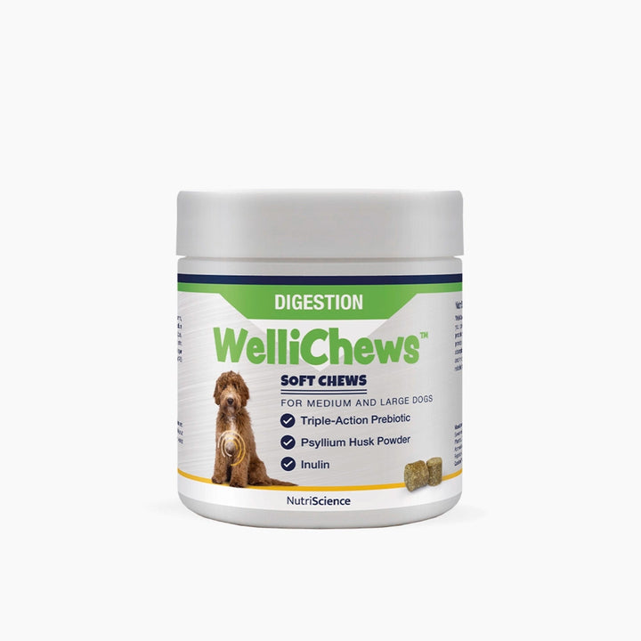 Wellichews Digestion Soft Chews