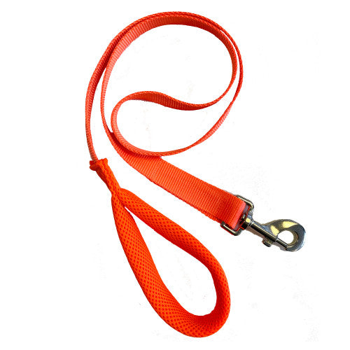 Go Walk Lead Choose Colour