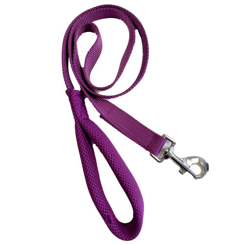 Go Walk Lead Choose Colour