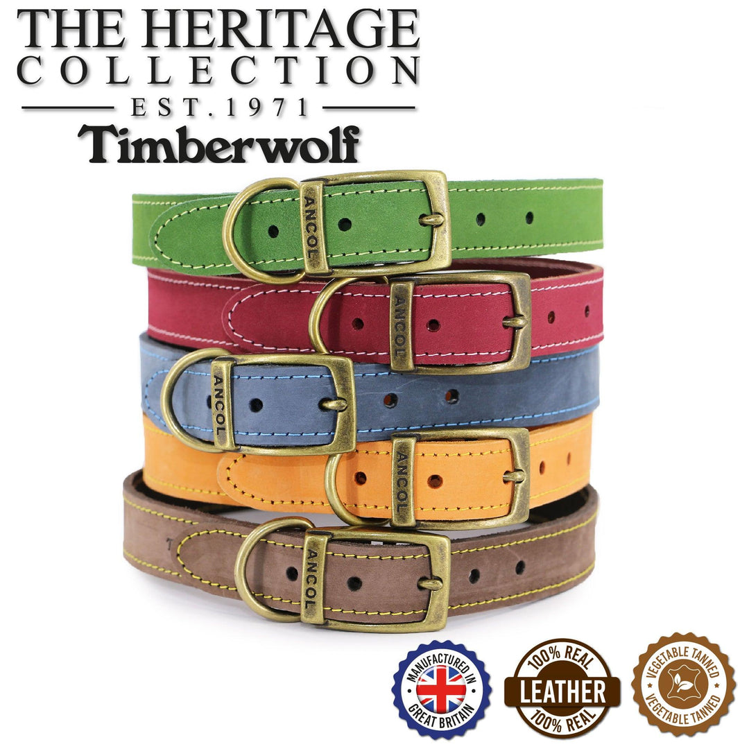 Ancol Timberwolf Leather Collar Blue 35-43cm Size 4 - Ormskirk Pets